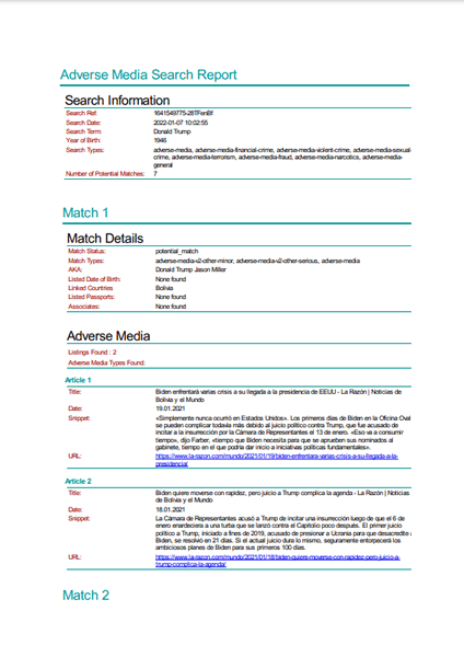 Adverse Media Check Sample Report